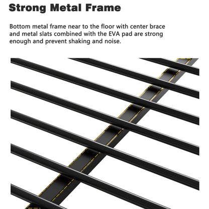 Adam - Metal Bunk Bed