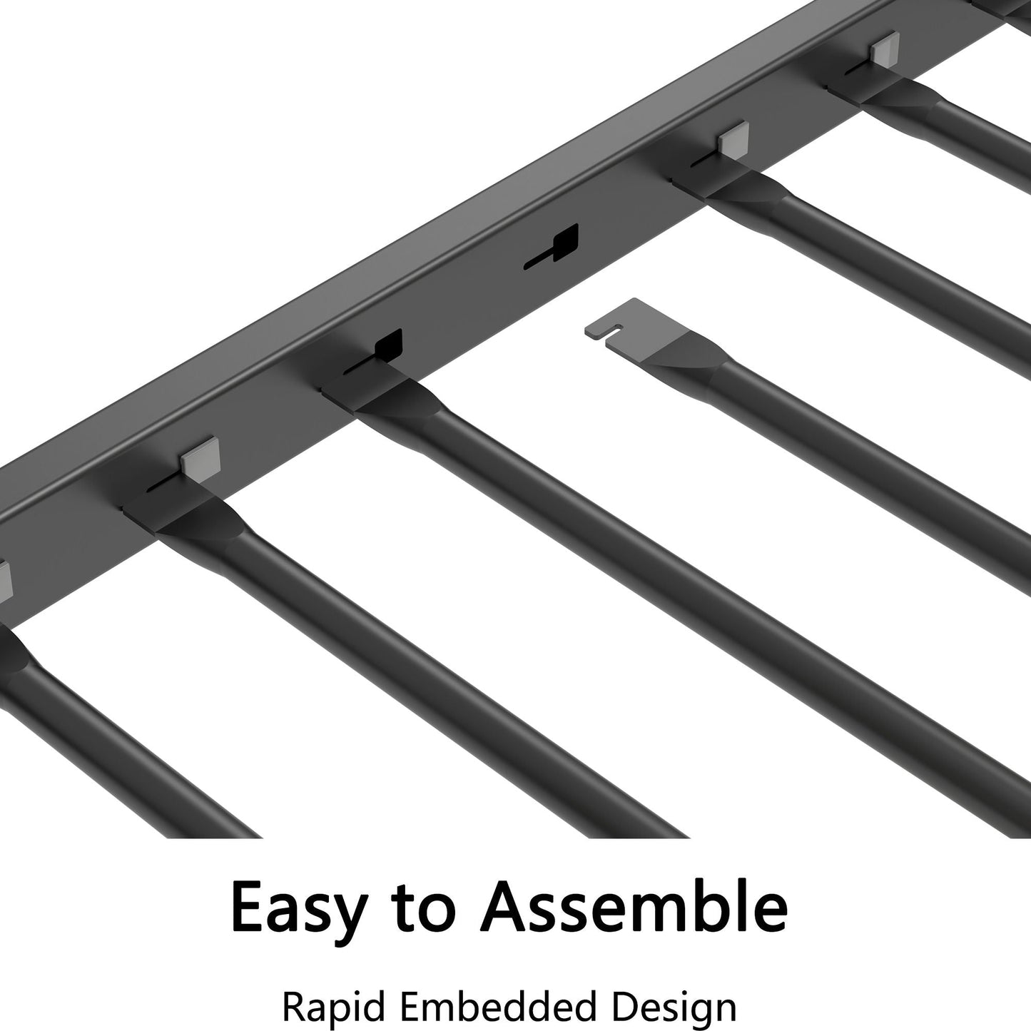 Fox - Daybed With Twin Trundle, Black